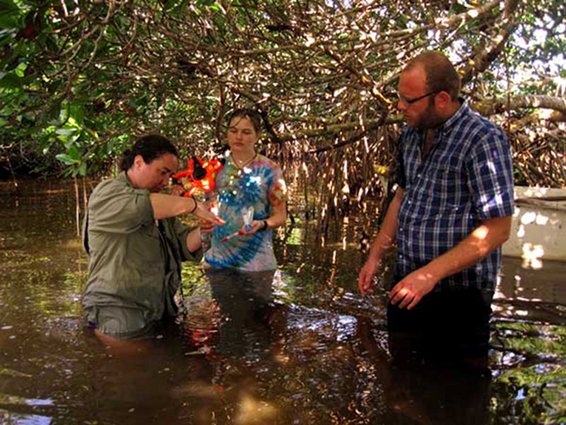 Dr. Trish Beddows collects water samples from Rio Xuxub with the assistance of Alice Carter and Rohi Jaijel.