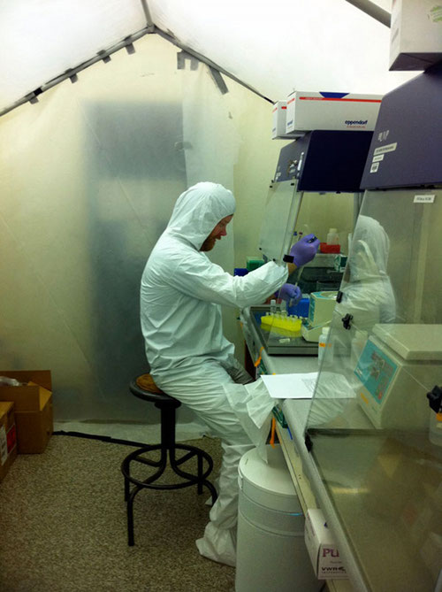 Working in a clean environment, Derek Smith carefully attempts to extract ancient DNA from archaeological mollusk samples.