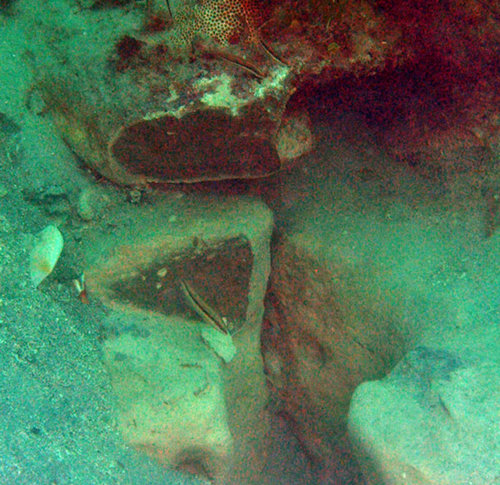 In 2009, archaeologists on the Submerged New World team located exposed bedrock chert (hard, brittle sedimentary rock), a possible source of material for making stone tools.  This picture shows a fresh exposed face of chert after sampling.