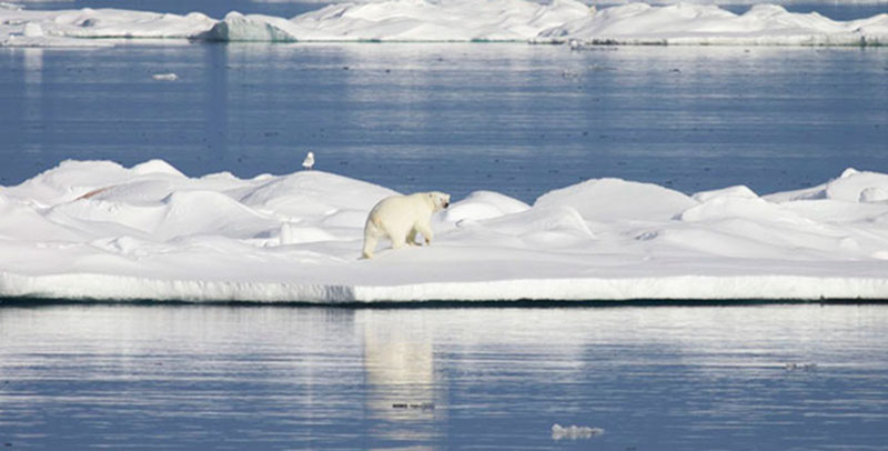 During the RUSALCA cruise, scientists have been trying to document marine mammals along the Chukotka coast of Russia – in spite of some wretched weather.