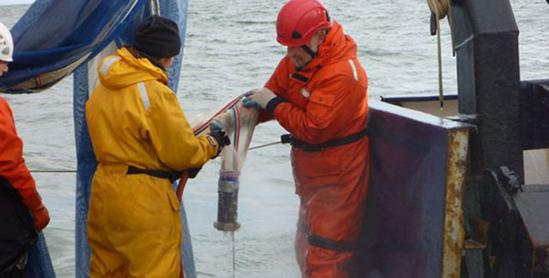 Despite several challenges, scientists are busy studying the distribution of Zooplankton, the small animals that drift within the water.