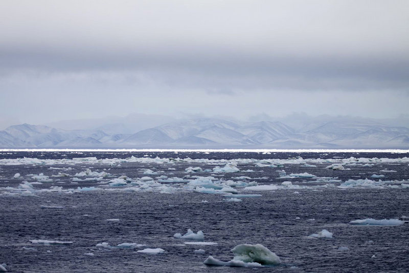 Wrangel Island in the early morning.