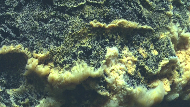 Close up view of orange iron-oxide microbial mat overlying black manganese-oxide encrusted mat.