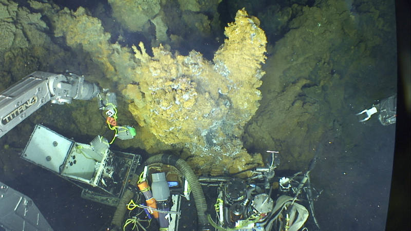 Jason deploys a settling plate sampling device at one of the Urashima chimneys.