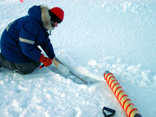 Figure 5: Sterilely sectioning a sea ice core in Franklin Bay, Canada.