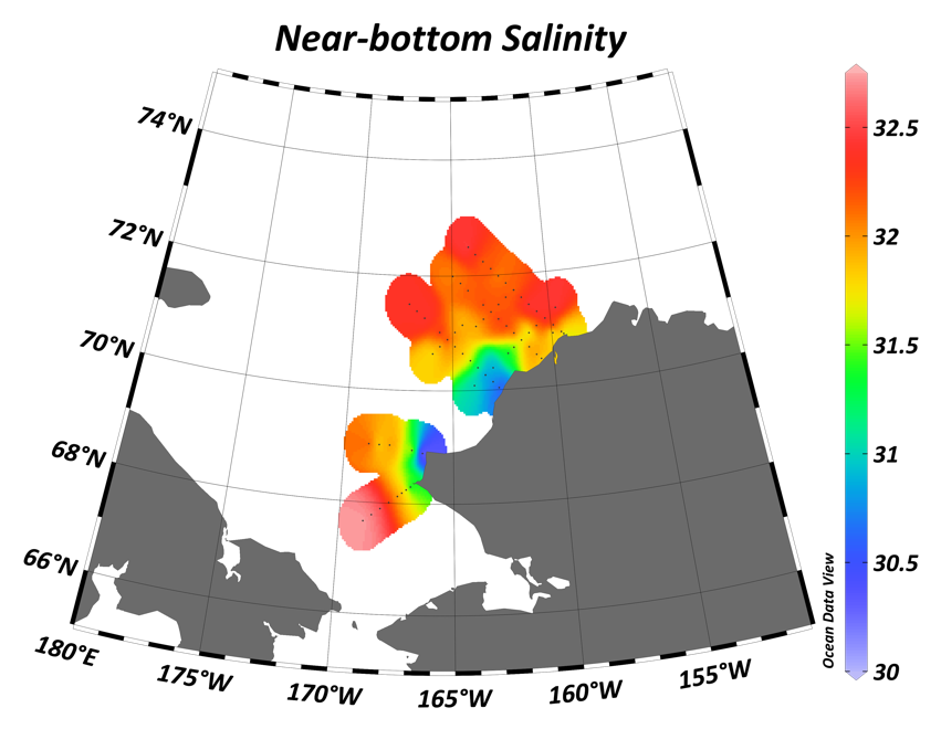 Near Bottom Salinity