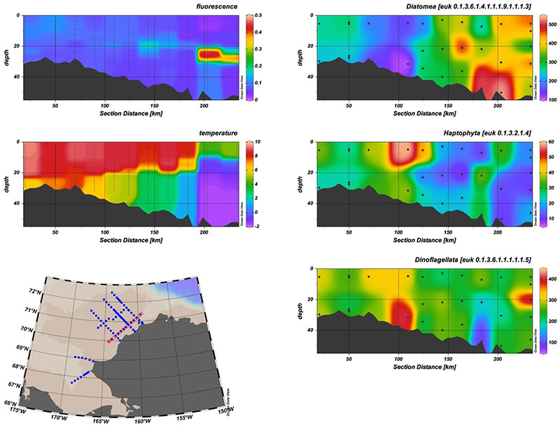 Here you can see two different groups of phytoplankton—diatoms and haptophytes—segregating out along a transect based on temperature and water mass. The relative abundance of diatoms at depth is interesting as well and may indicate sinking of diatom cells, e.g. from sea ice communities or benthic diatom communities, which we also know exist here. Collaborators are looking at benthic chlorophyll concentrations, so that should help answer that question. The dinoflagellates, which are often mixotrophic, are pretty evenly distributed throughout.