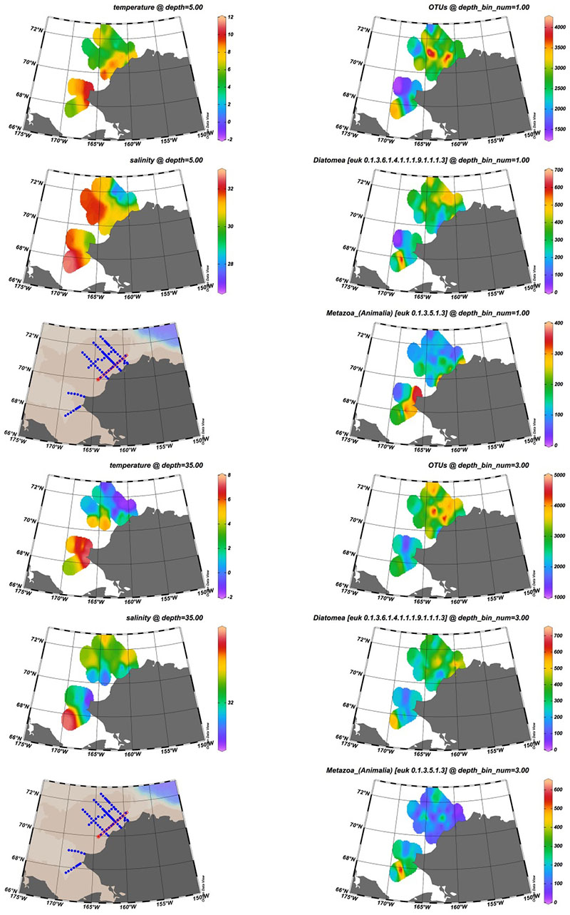 Here you can see the spatial distribution of total OTUs (operational taxonomic units, a molecular stand-in for “species”) and diatom and animal eDNA over the Chukchi Sea in the upper water column (~5 meters) and the lower water column (~35 meters). The overall diversity is at least thousands of molecular “species” at each station.