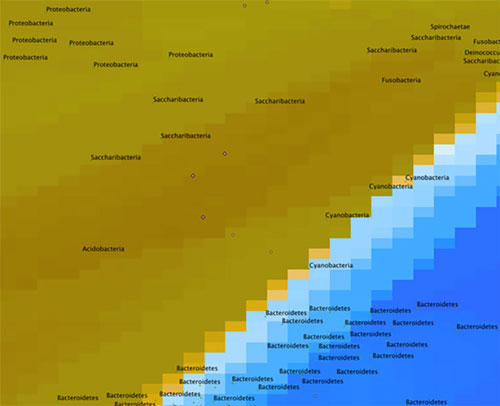 Figure 7: A closer look at the map in Figure 6.