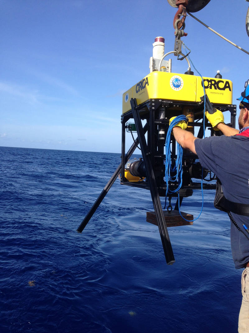 Medusa being lowered into the ocean.