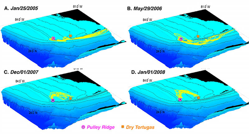 Coral Reef Populations.