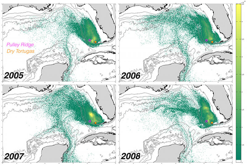 Figure 2- Ecological connectivity can also bring new pathogens, diseases, or invasive species. 