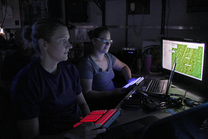 Identifying fish species on a monitor.