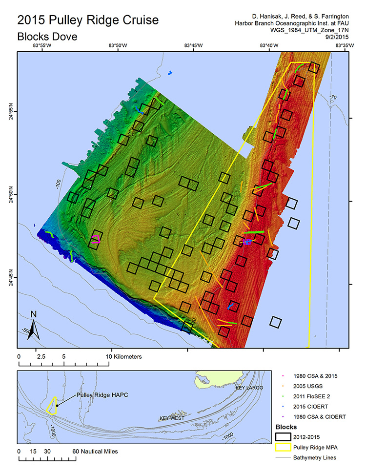 Over four cruises, our Community Structure Team has crisscrossed Pulley Ridge in an effort to better assess its biological resources (corals, fish, sponges, algae). ROV surveys have been conducted in 69 1 km x 1 km blocks