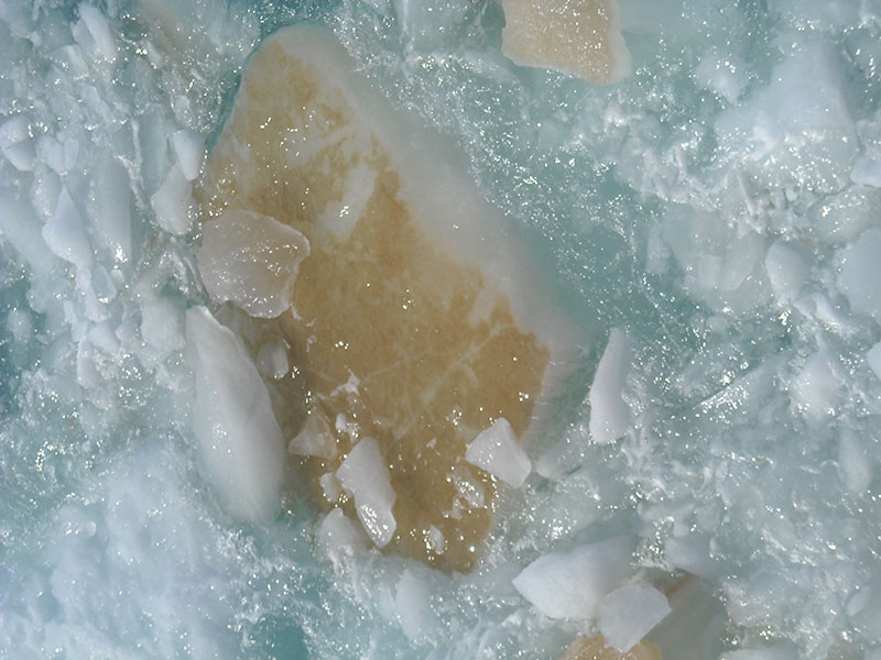 Microscopically small algae grow on the bottom of a piece of overturned Arctic sea ice. This algae would go away if there is no longer any sea ice during the Arctic summer, impacting the entire Arctic food web.