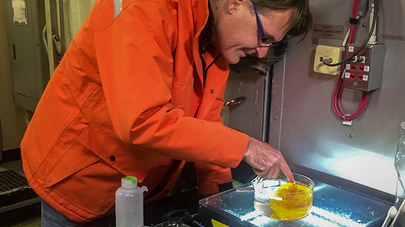 Dr. Dhugal Lindsay gets a closer look at Mr. Pumpkin.