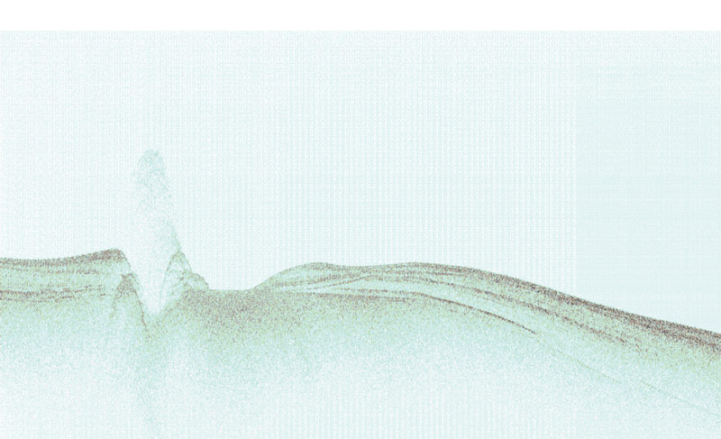 Subbottom profile of the seafloor, with light and hazy vertical feature on the left representing a coral mound. The darker color represents harder, less porous substrate.