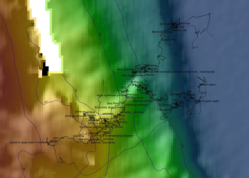 This map shows the ROV track (black dotted line) overlaid on the map in the GIS. Observations of geology and fauna were logged during the dive and those observations are shown on the map as hollow black circles with the observation comment.