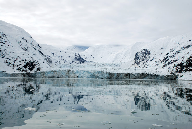 We were treated to a stunning close up view of Johns Hopkins Glacier today. This area is usually closed to tour boats to protect the many harbor seal pups that inhabit the area during the summer months.