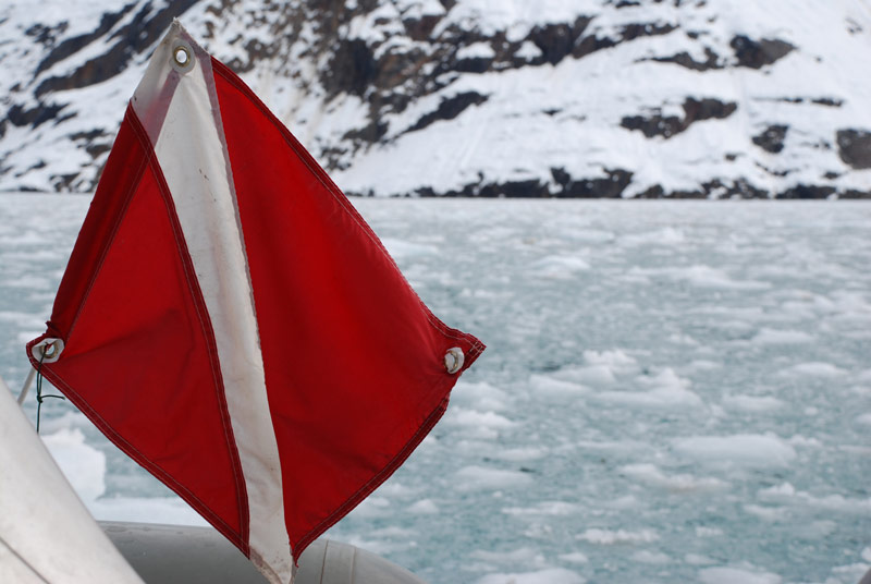 Diving in Glacier Bay National Park has presented some interesting challenges for maintaining safe scuba operations, including relocating dives due to heavy icepack, seen here close to Johns Hopkins Glacier.