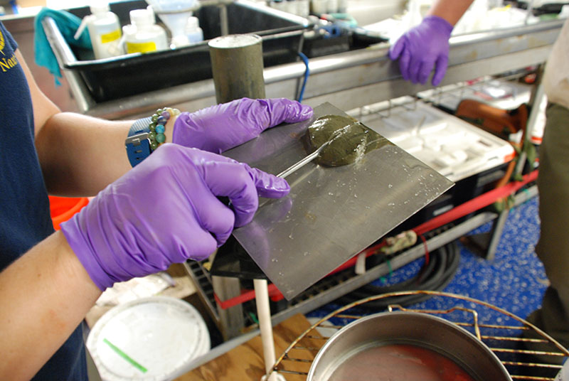 Amanda Demopoulos splits a one-centimeter thick core slice into two. Half will go to the U.S. Geological Survey (USGS) Woods Hole Coastal and Marine Science Center for geological assessment and the other half will go to the USGS Wetland and Aquatic Research Center for biological assessment.