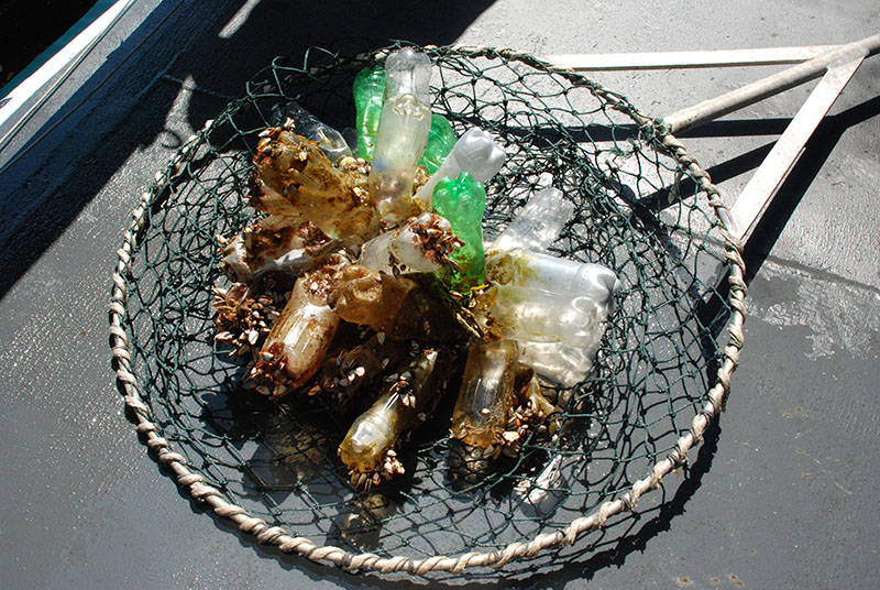 In addition to all of the science operations we completed on Friday, the ship’s crew also took the time to haul this large piece of plastic trash out of the ocean. Made of many plastic bottles tied together with rope, we think it was likely an improvised float for fishing.