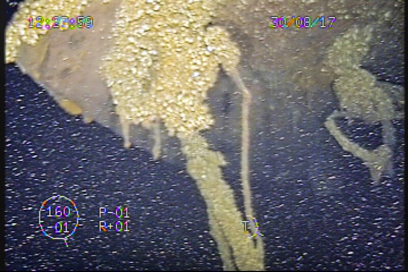 At the very far end of the vessel--its stern-- a pointed terminus. This is a very diagnostic feature of whaleback-type vessels in general, and of Choctaw in particular as per its deck plans.