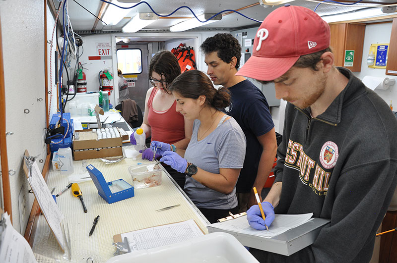 Science team processing remotely operated vehicle (ROV)-collected samples for quick preservation. 