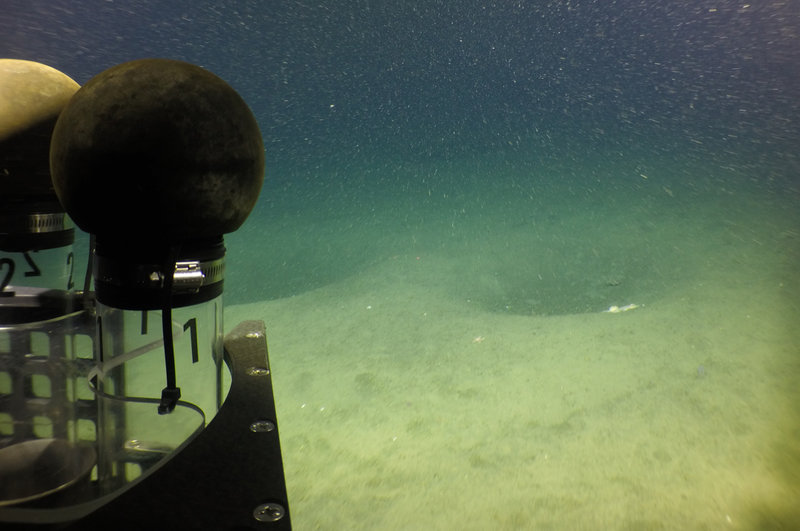 Pockmark-like features in the soft sediment along the start of an ROV Yogi transect along the accumulation resembling a fan or debris field to the southwest of the mud volcano cone.