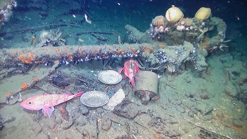 A first-person view from ROV Odysseus, viewing the unknown shipwreck’s newly found anchor.