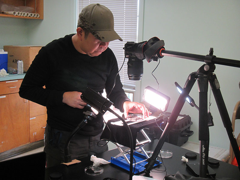 Researcher Marvin Altamia focuses on capturing detailed voucher images of organisms collected from the Alabama submerged forest. These high-quality images capture the morphology of the marine organisms and can be used for species identifications.