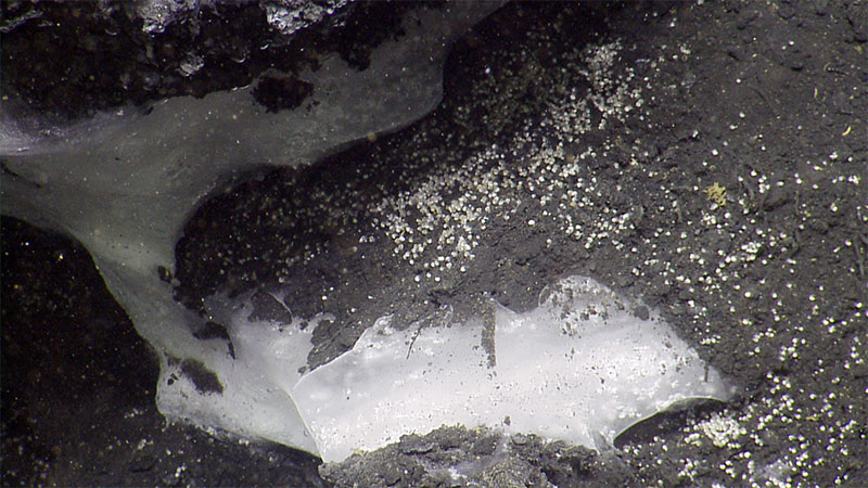 Methane hydrate is methane trapped in a cage of water that occurs at certain pressures and depths. Where it leaks out, seeps form.