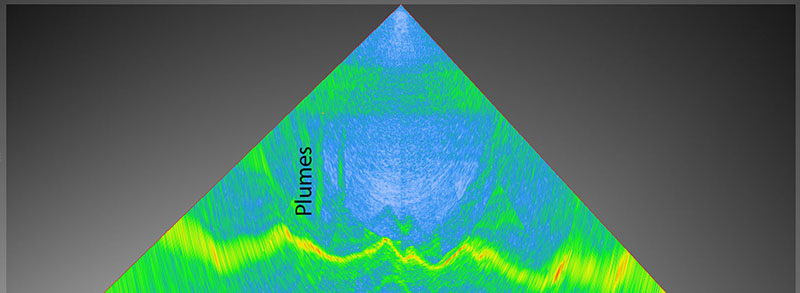 When we see bubble plumes like this we know there will be methane leaking from the seafloor; however, we never know what that is going to look like and on this particular site we were met with an amazingly expansive microbial mat.