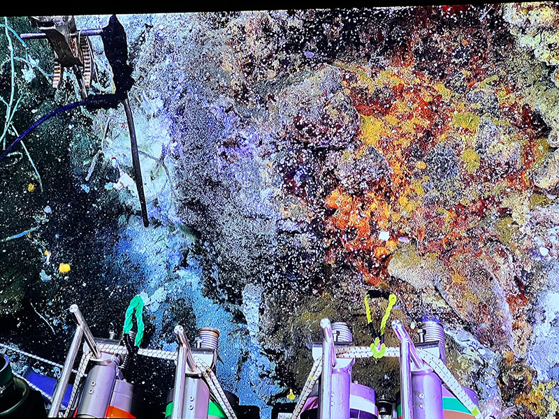 An outcrop of hydrothermal rocks that presents colorful red and yellow tones from the iron sulfide under the outer layer of organic and sedimentary debris. Imaged during an Escanaba Trough: Exploring the Seafloor and Oceanic Footprints expedition dive with remotely operated vehicle Jason.