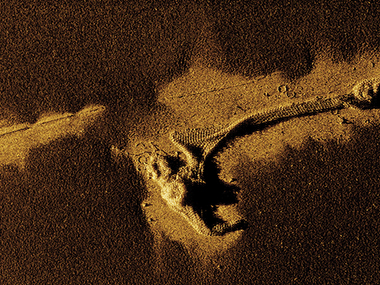 Synthetic aperture sonar imagery of anti-submarine net, with chain links clearly visible on the seafloor. During World War II, a net of 2,700 yards, supported by over 800 yards of moorings, stretched across the entrance to Massacre Bay, extending west from Alexai Point.