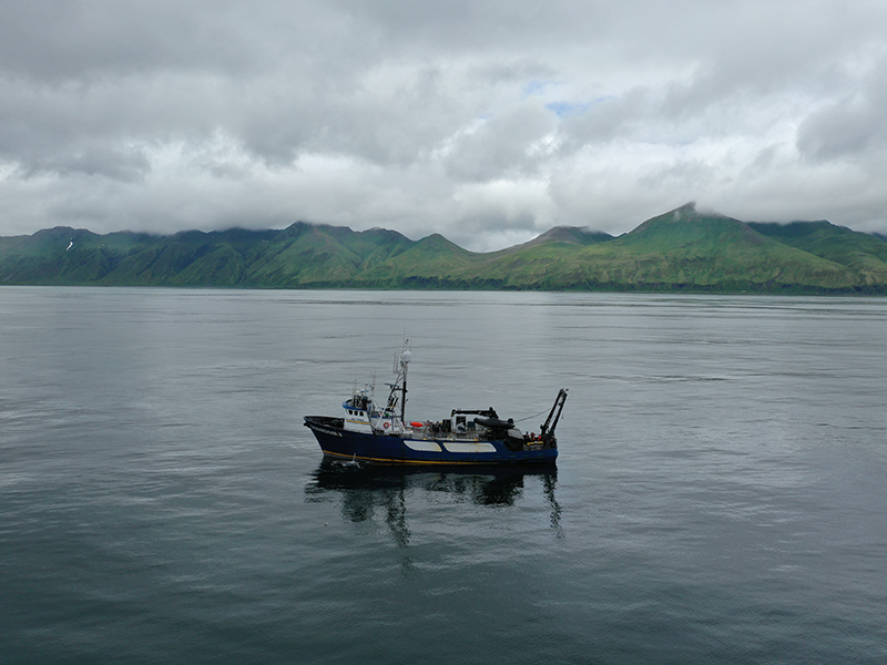 Research vessel Norseman II in Massacre Bay.