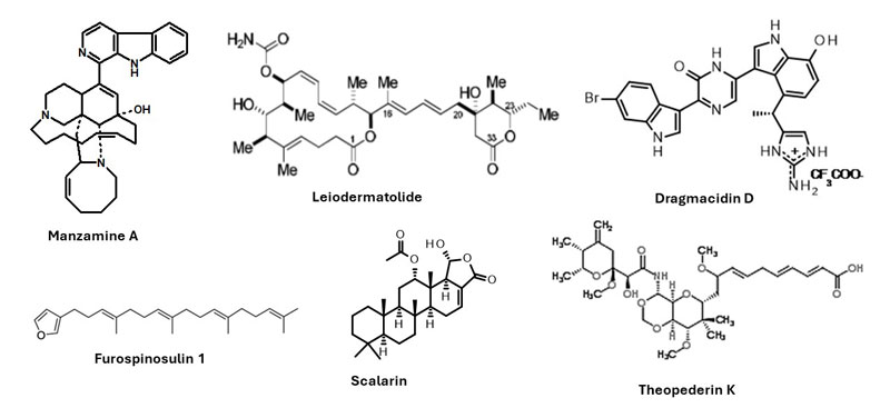 The chemical structures of some of Esther Guzmán’s favorite marine natural products. All these products have activity against human cancers.