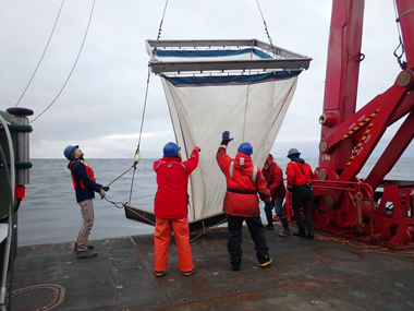 One of the main objectives of this expedition was to generate species inventories and characterize the vertical distribution of poorly known deepwater fauna around two seamounts in the Gulf of Alaska: Giacomini and Quinn. To meet this objective, the team used a variety of tools to survey the diversity of small animals (zooplankton and micronekton), like fish, crustaceans, gelatinous animals, and squid, at deep depths in the water column of the northern Gulf of Alaska. These tools included three types of plankton net systems, acoustics, and an underwater imaging platform.