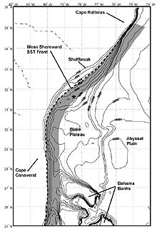 Charleston Bump map