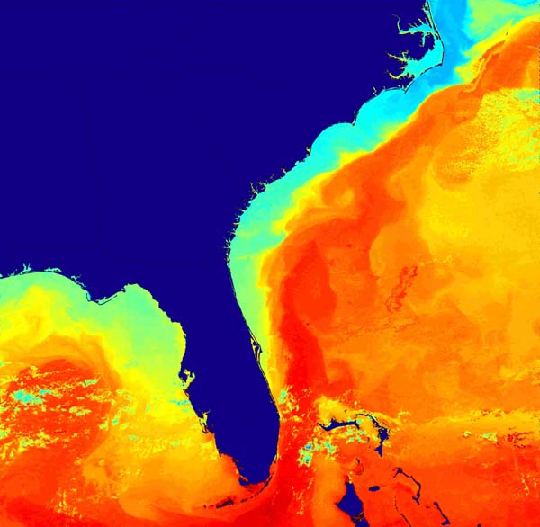 Sea surface temperature map