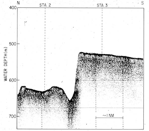 Sonar trace of wreckfish scarp