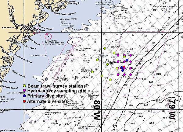 Savannah Scarp Dive sites