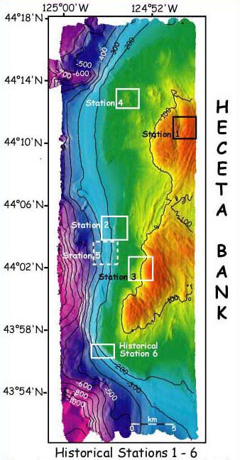 Heceta Bank