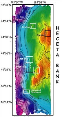 Contour map of Heceta Bank