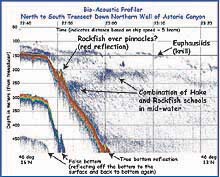 Data from the bio-acoustic profiler