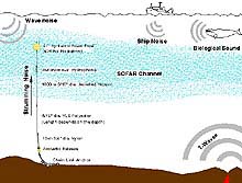 diagram of autonomous moored hydrophones and other supporting equipment