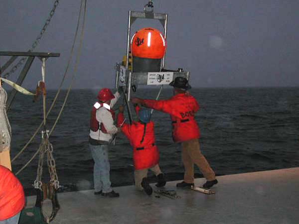 Hydrophone array