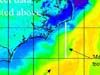 Sea surface temperature