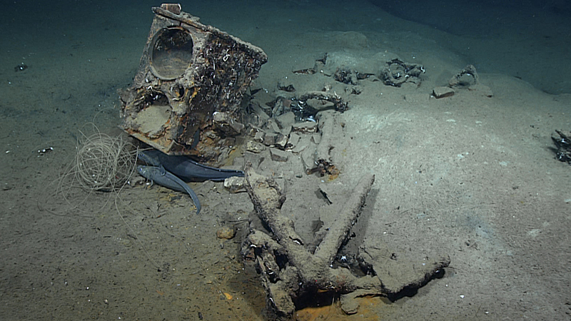 Remains of what is most likely the whaling brig Industry, including the tryworks, a furnace that was used to render whale blubber into oil, and an anchor.