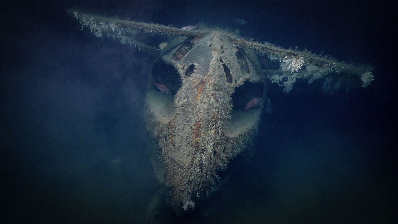 Submarine wreck encrusted with marine growth on the ocean floor.